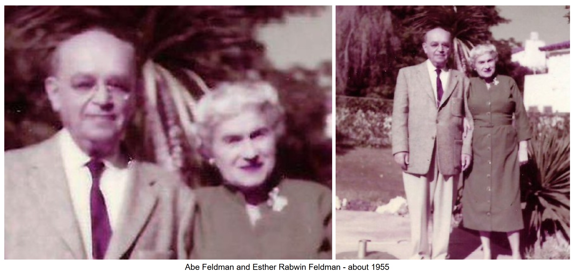 abe and esther feldman