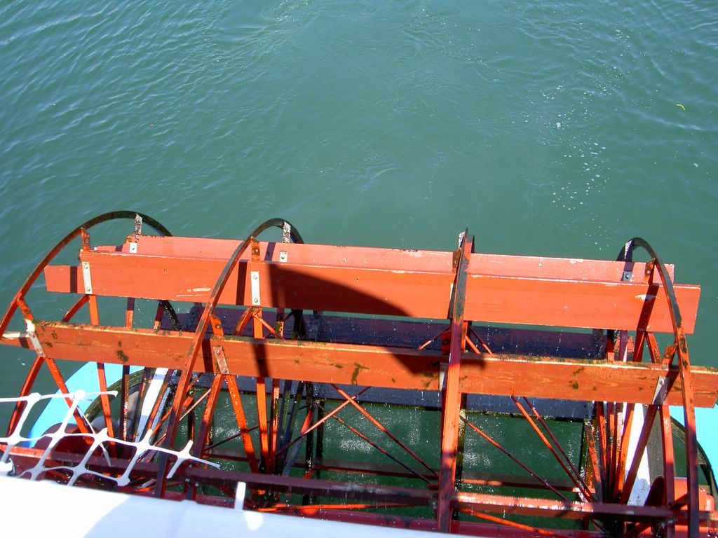 Our paddle boat takes off